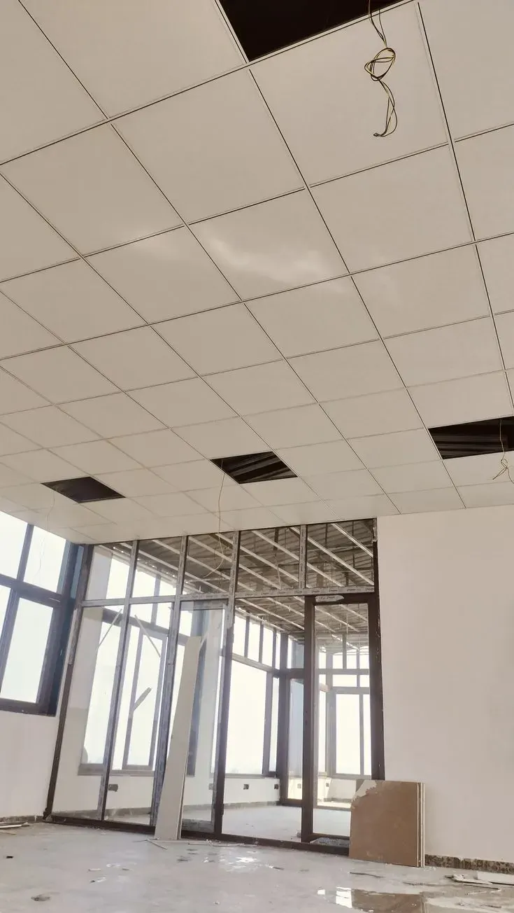 2x2 grid ceiling in an office