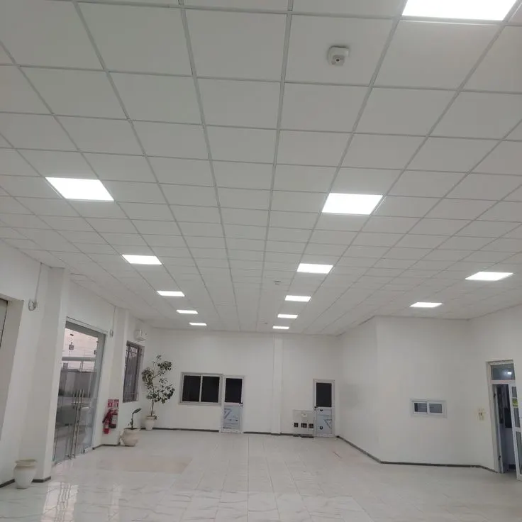 Acoustic grid ceiling with integrated lights Acoustic grid ceiling with integrated lights